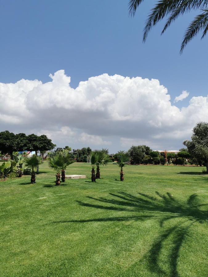 Green Apartment In Bafra Northern Cyprus Vokolidha Экстерьер фото
