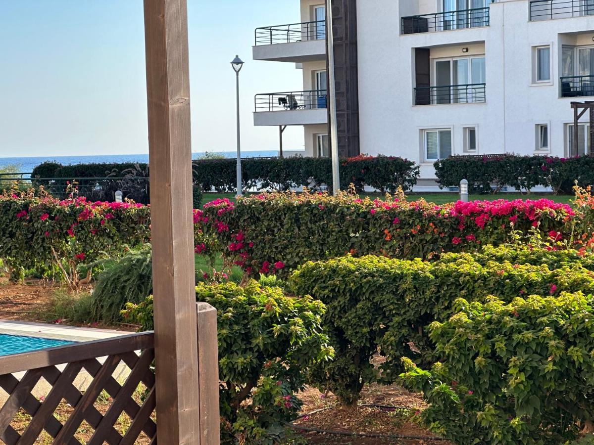 Green Apartment In Bafra Northern Cyprus Vokolidha Экстерьер фото